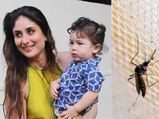  तैमूर को मच्‍छरों से बचाने के ल‍िए करीना करती है ये काम, बहुत ही आसान है ये तरीके 