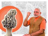  पीएम मोदी की सेहत का राज है ये मशरुम, 30 हजार रुपए किलो कीमत के इन मशरुम को खाने के जानें फायदे 