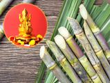 Diwali 2023:  द‍िवाली में होती है गन्‍ने की पूजा, मां लक्ष्‍मी से जुड़ी है वजह 