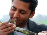  गन्‍ना चबाने के होते हैं कई फायदे, दांत बनेंगे चमकदार और नहीं होगी कैविटी की प्रॉब्‍लम  