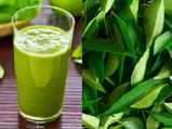Weight Loss Tips: रोजाना करें इस पत्ते के जूस का सेवन, एक महीने में गायब होगा बेली फैट 