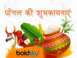 Happy Pongal 2022: पोंगल मना रहे दोस्तों को दें बधाई, भेजें ये खूबसूरत संदेश