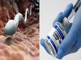 Covid Vaccination: पुरुषों की प्रजनन क्षमता पर असर डाल सकती है ये वैक्‍सीन, जानें क्‍या कहती है स्‍टडी
