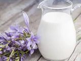 World Milk Day: स्किन केयर रूटीन में शामिल करें दूध, मुलायम और चमकदार त्वचा के लिए कच्चा दूध है बेस्ट 