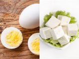 अंडा या पनीर: जानें वेटलॉस के ल‍िए दोनों में से कौनसा प्रोटीन खाएं? 
