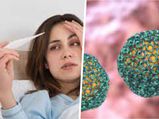 Rift Valley Fever : जानवरों से इंसानों में फैलता है ये वायरस, WHO ने बताया इसे खतरे की घंटी 