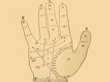 Palmistry: हथेली में सूर्य रेखा दर्शाती है आयु, धन समेत ये बड़े योग