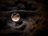 Sharad Purnima 2022: इस बार शरद पूर्णिमा पर बन रहा है शुभ योग, क्लिक कर जानें पूजा-विधि