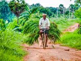 National Farmers Day: किसानों का देश की अर्थव्यवस्था में महत्वपूर्ण योगदान, जानें इसका महत्व