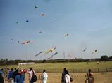 मकर संक्रांति पर पतंगबाजी: भारत इन राज्यों में धूमधाम से मनाया जाता है काइट-फेस्टिवल