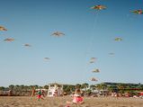 International Kite Day: लखनऊ के नवाबों के शौक से लेकर बिजली के अविष्कार तक, ये पतंगे देती हैं परवाज़ का सलीका
