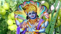 Amalaki Ekadashi 2023: इस दिन आंवला वृक्ष की पूजा से पाएं साक्षात् भगवान विष्णु की कृपा, नोट करें तिथि
