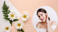 स्किन से जुड़ी समस्या से हो गए हैं परेशान, ट्राई करें ये DIY डेजी मॉइश्चराइजर, मिलेगी ग्लोइंग और निखरी त्वचा
