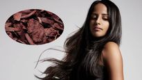 Hair Care Tips: बालों की समस्या को दूर करने के लिए फायदेमंद है रतनजोत, जानिए ऑयल और हेयर मास्क बनाने की विधि