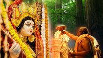 Chaitra Navratri 2023: नवरात्रि के समापन से पहले कर लें नारियल का उपाय, दूर होंगे सभी कष्ट और विकार