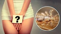 Sexual Health: प्राइवेट पार्ट में संक्रमण और खुजली की वजह हो सकती है जुएं, ऐसे पहचानें और फैलने से रोकें