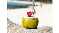 Coconut Cooler: हीटवेव से बचने के लिए रोज पिएं ये हेल्दी कोकोनट कूलर, टेस्ट के साथ हेल्थ भी रहेगी बेहतर
