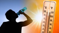 How to stay Hydrated: तेज टेम्‍परेचर सोख लेता है शरीर का पानी,  ऐसे रहें भरी गर्मियों में हाइड्रेट