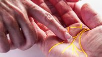 Palmistry: हथेली पर ऐसे निशान करते हैं राजयोग का इशारा, आप भी देखें 