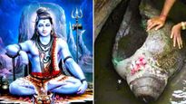 OMG: क्या आप जानते हैं शंख से शिवजी ने किया था विषपान! आज भी है मंदार पर्वत पर मौजूद