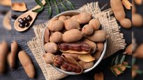 Ayurvedic Tips: गर्मी में इस फल का पानी पीने से रहती है ठंडक, असर इतना क‍ि बिच्‍छू भी काट जाएं तो फर्क न पड़े 