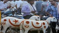 Bakrid 2023 Date: इस साल कब मनाई जाएगी बकरीद, जानें मुसलमानों के लिए क्यों मायने रखता है ये दिन