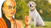 Chanakya Niti: सुखी जीवन के लिए इंसान को कुत्ते से सीखने चाहिए ये गुण