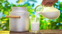 How to Check Adulteration in Milk : आपके दूध में यूरिया तो नही? घर बैठे ऐसे पता लगाने के ये है तरीके 