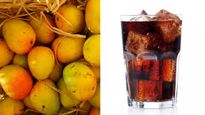 आम खाने के बाद कोल्‍ड ड्रिंक पीना चाह‍िए या नहीं, जानें यहां सच्‍चाई