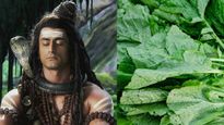 Sawan Month 2023: भूलकर भी न खाएं सावन में पत्‍तेदार सब्जियां, शिव जी और विज्ञान से जुड़ी है वजह 