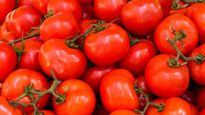 Tomato Price: आसमान छू रहे हैं टमाटर के भाव, स्‍वाद बढ़ाने के ल‍िए इन 5 चीजों का करें इस्‍तेमाल 