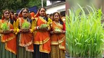 हरेला पर्व 2023: हरेला के साथ उत्तराखंड में शुरु होगा सावन, क्यों अलग होता है पहाड़ियों का सावन जानें यहां