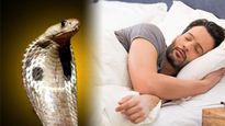 Snake Dreams in Sawan: सावन माह में सांप को सपने में देखना शुभ या अशुभ? जानिए इससे जुड़े संकेत