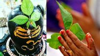 Sawan 2023: शिवलिंग पर चढ़ा हुआ बेलपत्र खाने से होते है ये 5 फायदे, ये लोग भूलकर भी न खाएं 