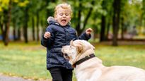 International Dog Day 2023: कुत्ता देखते ही छूट जाते हैं आपके पसीने, कहीं आपको ये बीमारी तो नहीं?