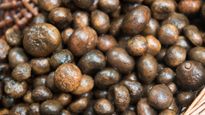 Katrua Vegetable: इस दुलर्भ जंगली सब्ज़ी को कहते हैं शाकाहारियों का मटन, कीमत सुन खुल्‍ला ही रह जाएगा मुंह