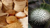 Food Adulteration: कहीं आपके खाने में भी तो नहीं मिला है धतूरा! FSSAI ने बताया जांच का तरीका 