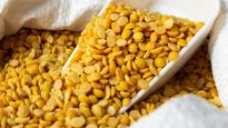 Arhar Dal Ke Nuksan: इन लोगों को भूल से भी नहीं खानी चाह‍िए अरहर की दाल, सेहत का हो सकता है बुरा हाल 