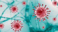  Disease X: दुनिया में तबाही मचा देगी ये नई महामारी! कोरोना से 7 गुना ज्यादा खतरनाक, WHO ने क‍िया अलर्ट
