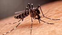 डेंगू में हल्‍की सी चूक से बढ़ सकता है मल्टी ऑर्गन फेलियर का खतरा, डॉक्‍टर से जानें इलाज और बचाव 