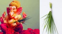 Ganesha Chaturthi 2023 : सेहत से जुड़ी हैं गणेश जी को दुर्वा चढ़ाने की वजह, जानें इस घास के सेवन के फायदे 