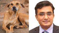 वाघ बकरी चाय के मालिक पराग देसाई की आवारा कुत्ते से बचने की चक्‍कर में गई जान, डॉग्स के हमले से कैसे बचे?