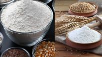 World Food Day : मल्‍टीग्रेन या गेंहू, जानें कौनसे आटे की बनी रोटियां खाना है ज्‍यादा सेहतमंद 