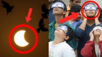 Surya Grahan 2023 Timing: कब, कहां और कैसे देख सकते हैं 'Ring Of Fire', यहां पाएं ग्रहण से जुड़ी हर जानकारी