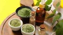 Mehndi Oil Benefits:  जड़ों की मजबूती के ल‍िए बालों में लगाएं मेहंदी का तेल, पतले बाल भी होंगे  घनेदार 