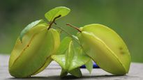 Star Fruit :साल में दो महीने ही बाजार म‍िलता है यह करामाती फल, सर्दियों में जानें इसे खाने के फायदें 