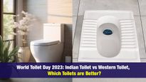  World Toilet Day 2023 : वेस्टर्न या इंडियन टॉयलेट: पेट साफ करने के ल‍िए  कौन सा बेहतर है?