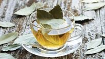  Tejpatta Tea : सर्दियों में जरुर पीएं इस पत्‍ते की चाय, छाती में नहीं जमेगी बलगम और म‍िलेगी गर्माहट 