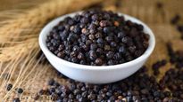 Black Pepper Adulteration: काली मिर्च के नाम पर पपीते के बीज तो नहीं खा रहें आप, ऐसे करें असली-नकली में फर्क 