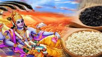 Shattila Ekadashi 2024 Upay: षटतिला एकादशी पर तिल कर सकता है भाग्योदय, जानें कैसे करें इस्तेमाल
